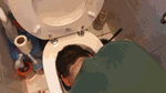 Put the face right into the pile of shit, slave!