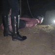 I kick and piss at my submissive being