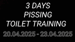Three Days Pissing Toilet Training